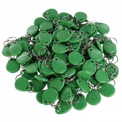 125KHz RFID Tag Keychain Ring Token